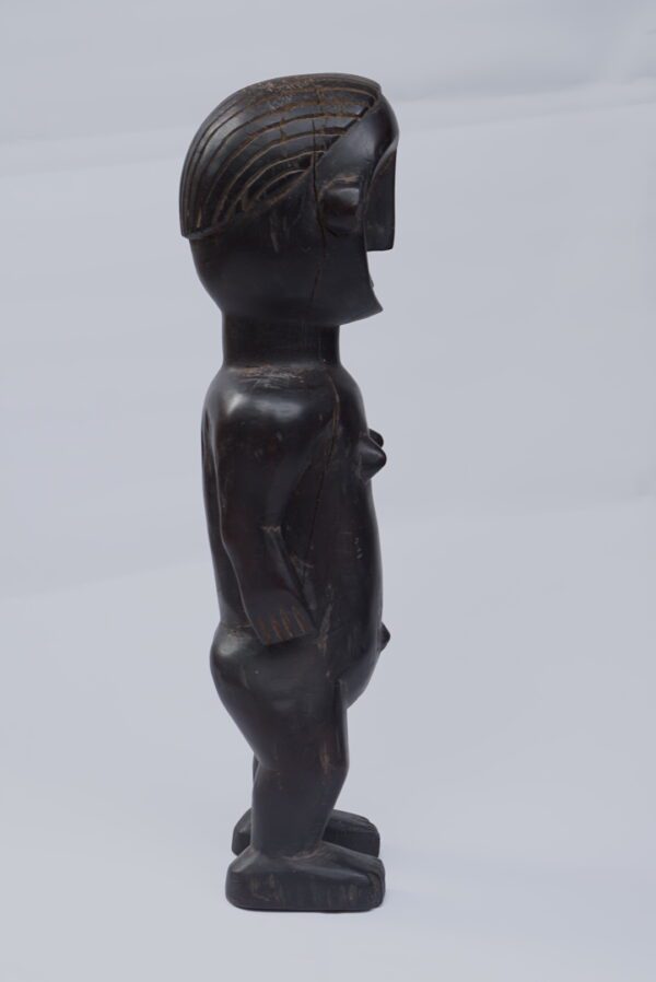 Jumelle  Léga – Image 3