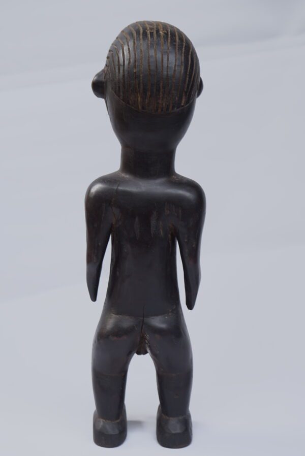 Jumelle  Léga – Image 2