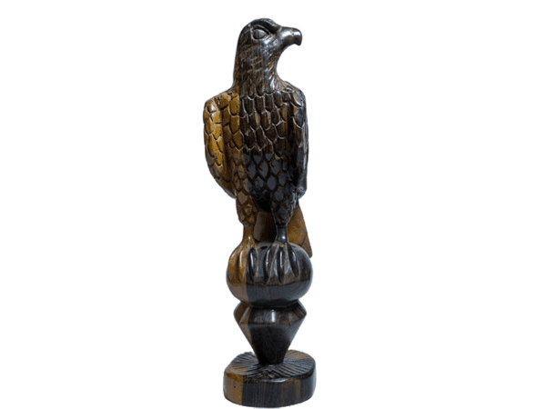 Aigle